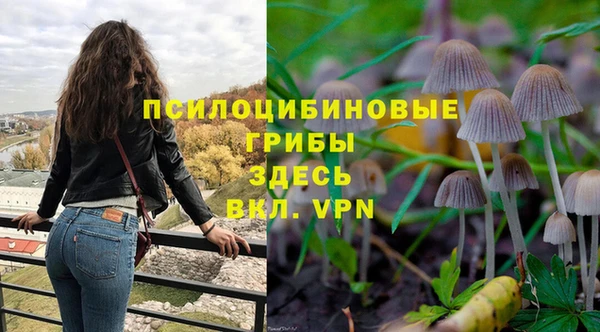 соль ск Аркадак